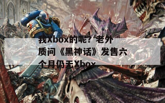 我Xbox的呢？老外质问《黑神话》发售六个月仍无Xbox  第1张