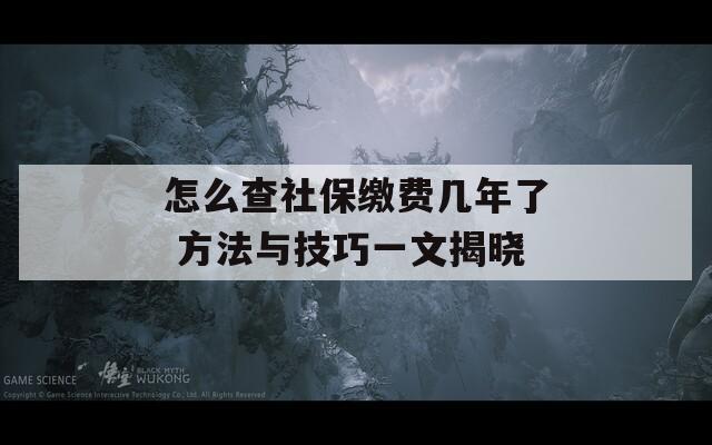 怎么查社保缴费几年了 方法与技巧一文揭晓