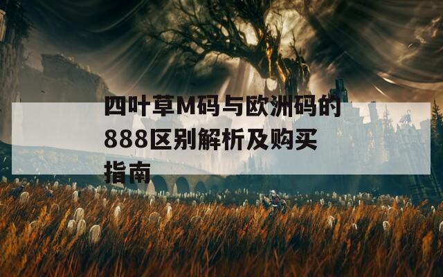 四叶草M码与欧洲码的888区别解析及购买指南