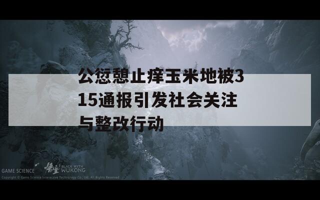 公愆憩止痒玉米地被315通报引发社会关注与整改行动