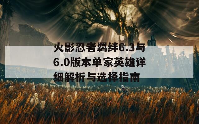 火影忍者羁绊6.3与6.0版本单家英雄详细解析与选择指南