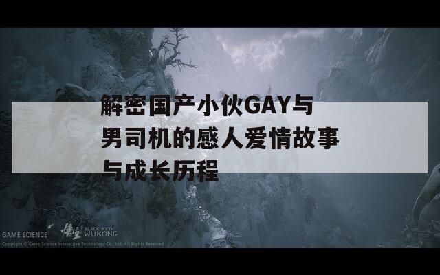 解密国产小伙GAY与男司机的感人爱情故事与成长历程