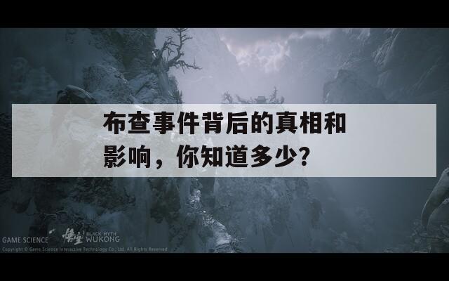 布查事件背后的真相和影响，你知道多少？