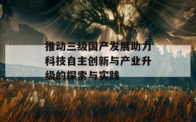 推动三级国产发展助力科技自主创新与产业升级的探索与实践