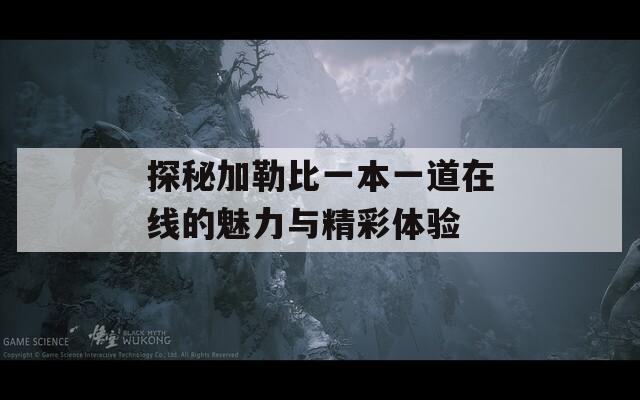 探秘加勒比一本一道在线的魅力与精彩体验