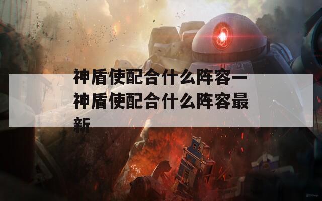 神盾使配合什么阵容—神盾使配合什么阵容最新