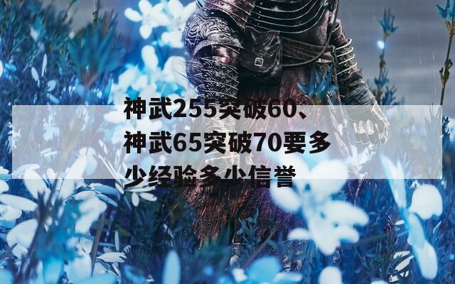 神武255突破60、神武65突破70要多少经验多少信誉