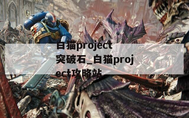 白猫project 突破石_白猫project攻略站