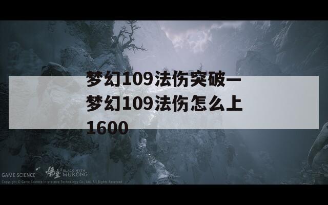 梦幻109法伤突破—梦幻109法伤怎么上1600