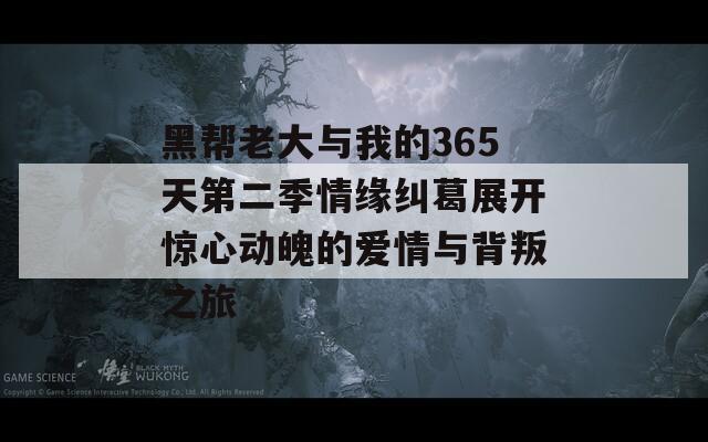 黑帮老大与我的365天第二季情缘纠葛展开惊心动魄的爱情与背叛之旅