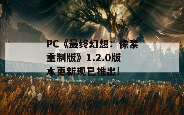 PC《最终幻想：像素重制版》1.2.0版本更新现已推出!